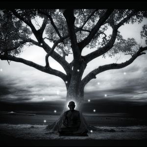 Meet your Posher, Van